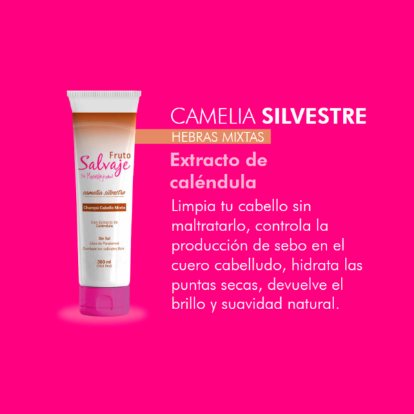 Shampoo camelia silvestre